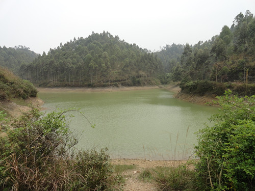 旅游規(guī)劃