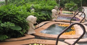 【深圳】艾肯弘揚(yáng)體驗(yàn)東部華僑城?礦泉SPA